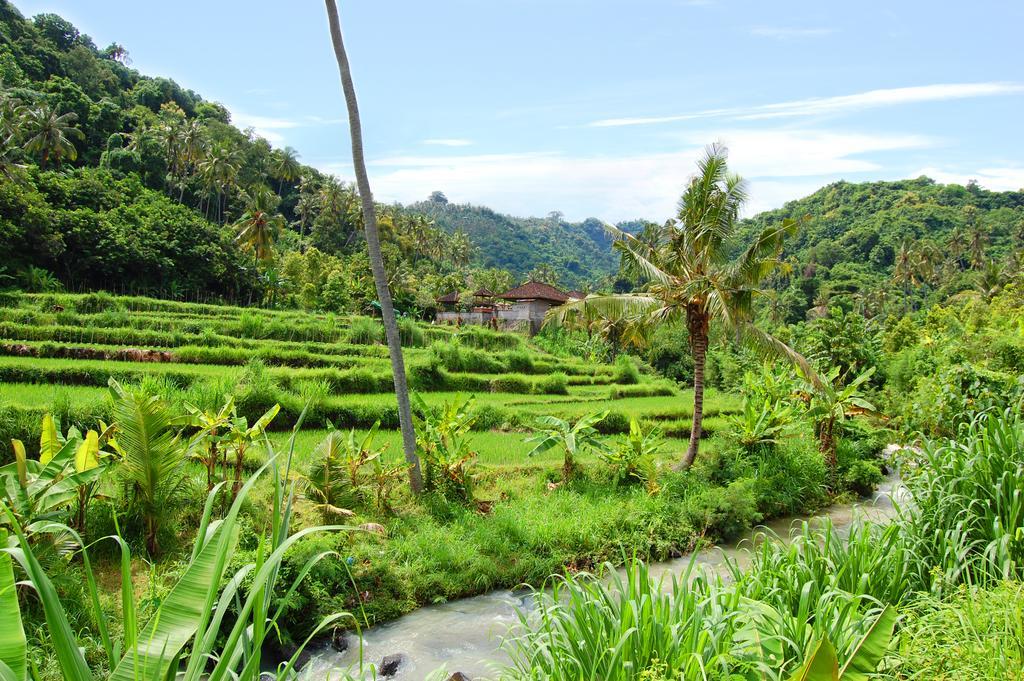 Indo Rumah Zengarden Pabean Buleleng Exteriér fotografie