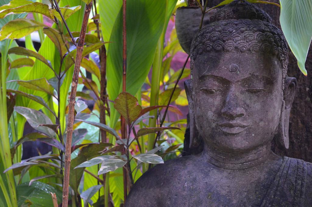 Indo Rumah Zengarden Pabean Buleleng Exteriér fotografie