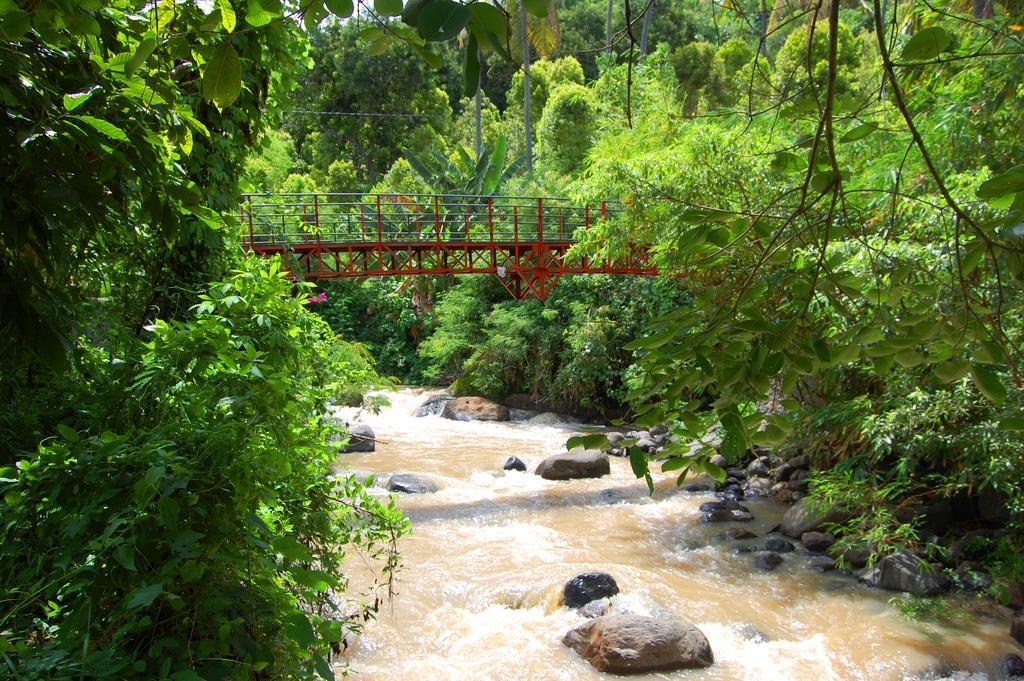 Indo Rumah Zengarden Pabean Buleleng Exteriér fotografie