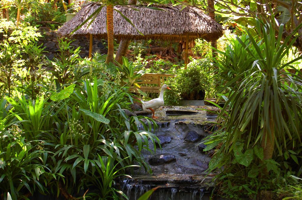 Indo Rumah Zengarden Pabean Buleleng Exteriér fotografie