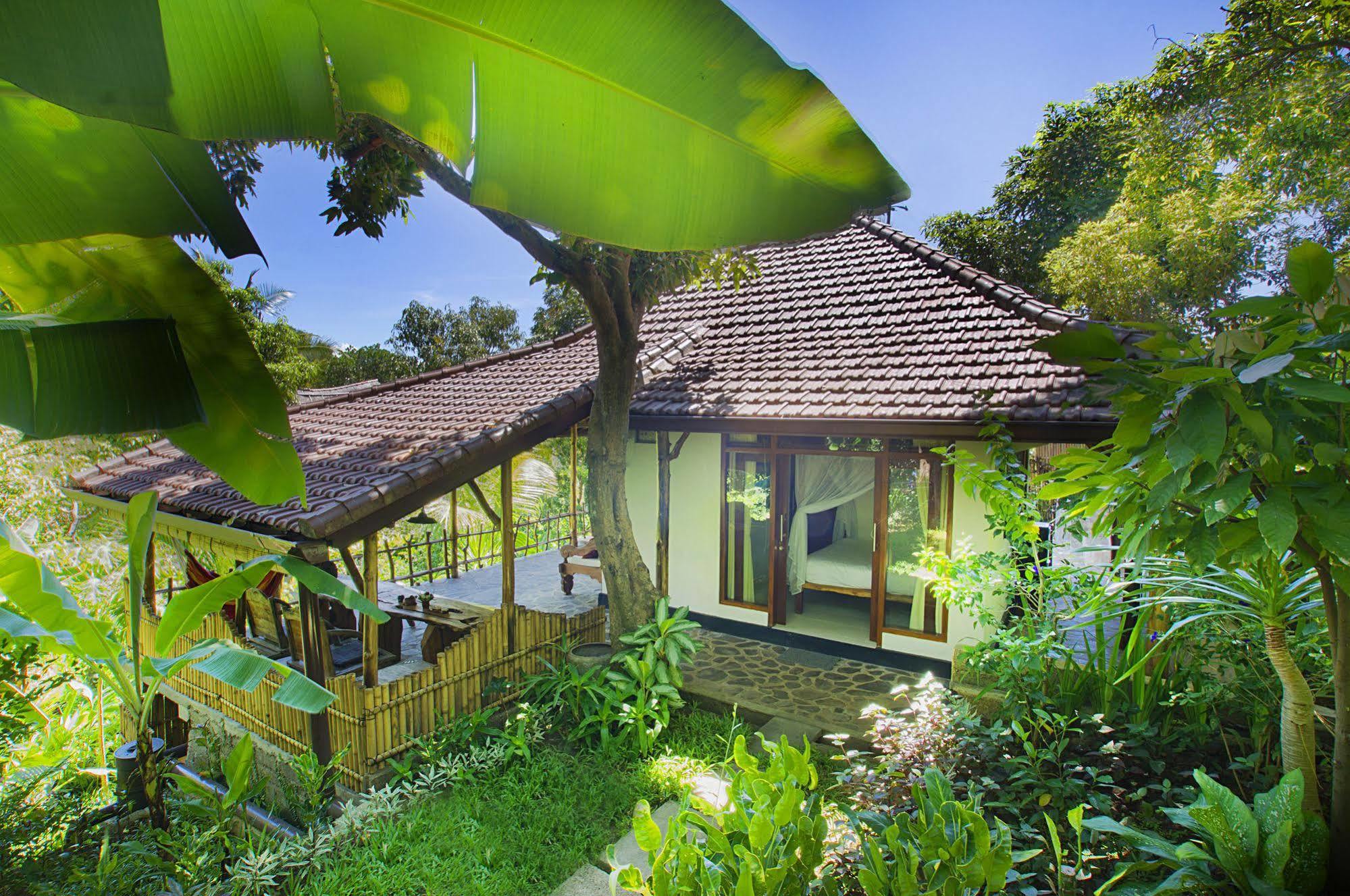 Indo Rumah Zengarden Pabean Buleleng Exteriér fotografie